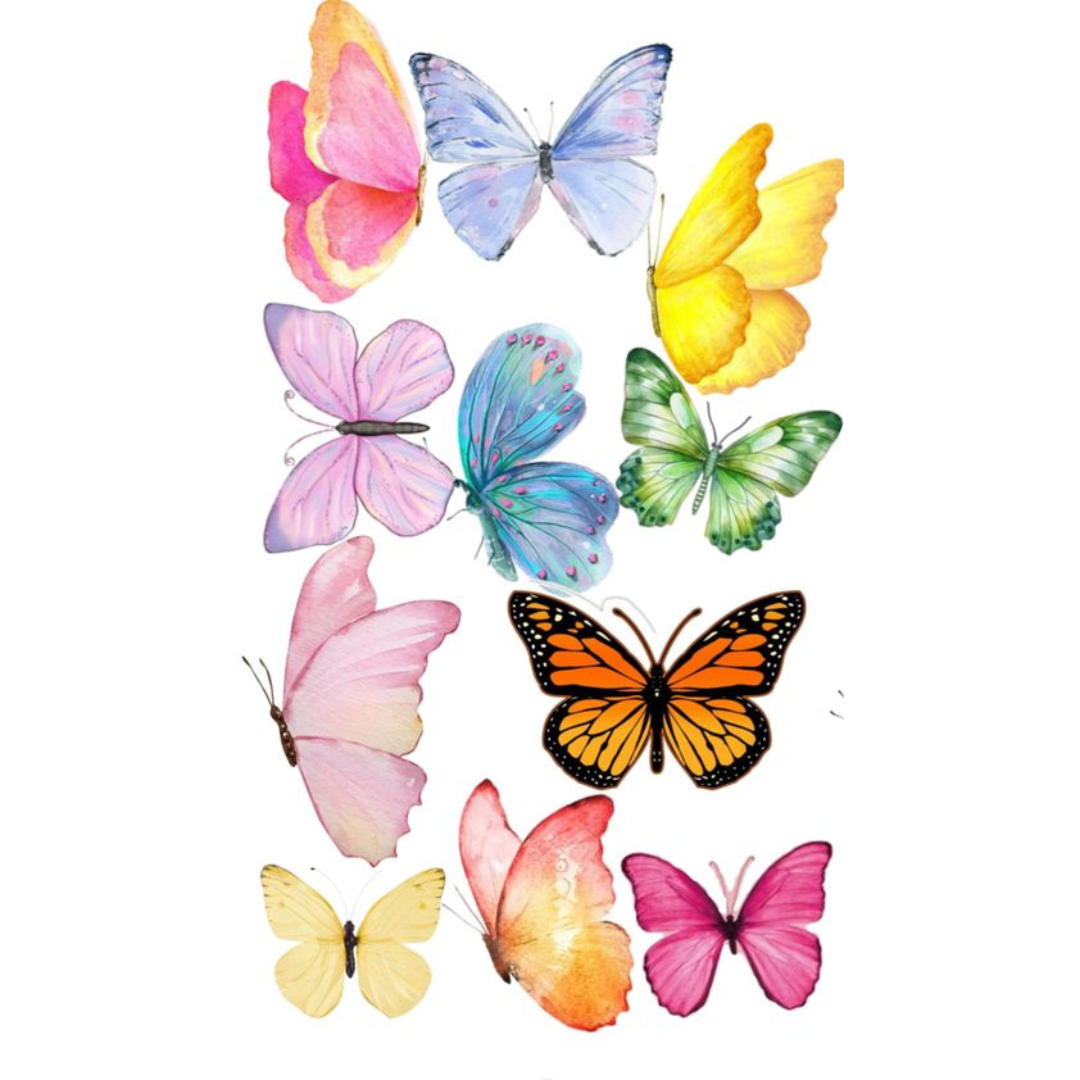 Paint by Numbers – Colourful Butterflies