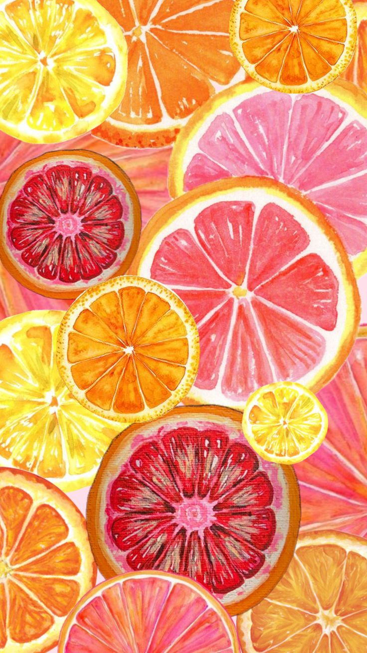 Paint by Numbers – Citrus Fruit Slices