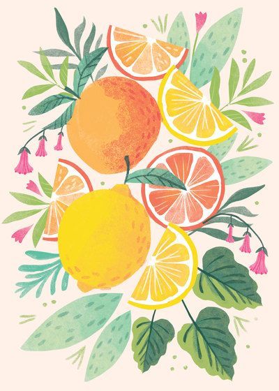 Paint by Numbers – Still Life with Citrus Fruits