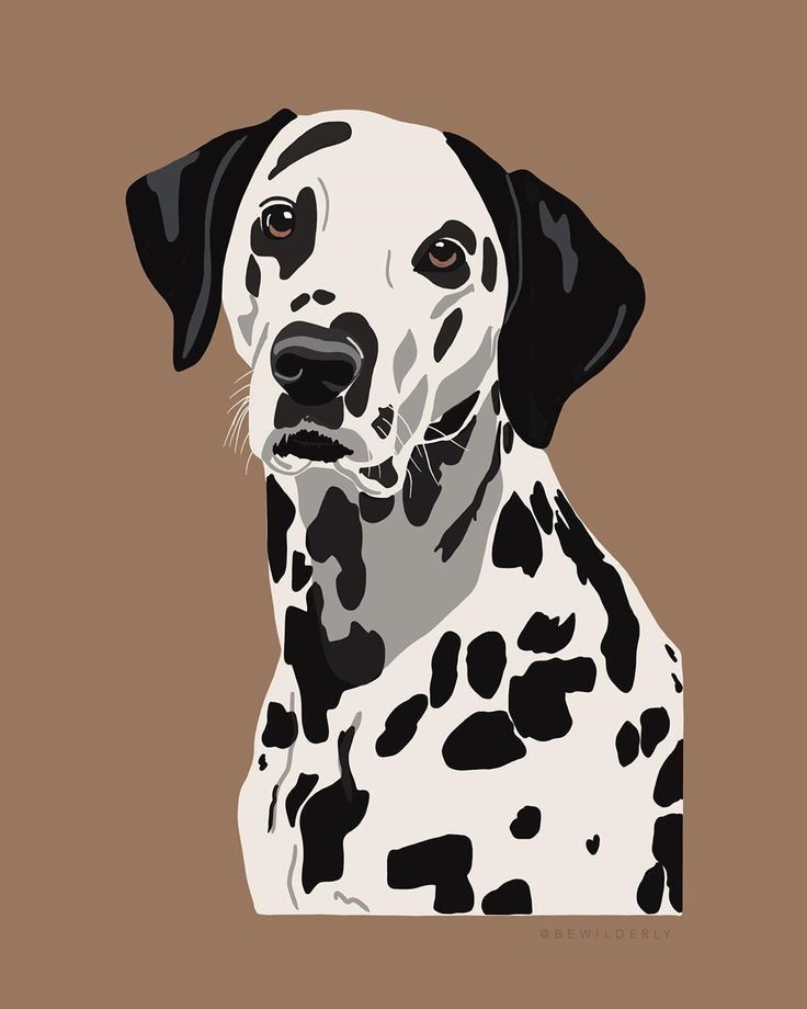 Paint by Numbers – Classic Dalmatian Dog
