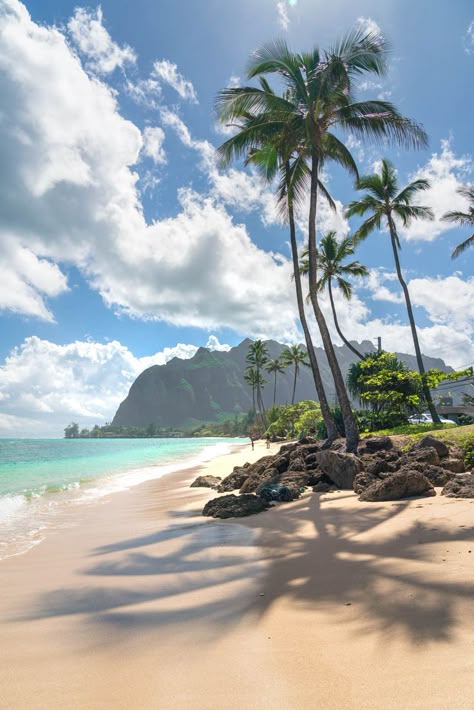 Paint by Numbers – Tropical Paradise on the Beach