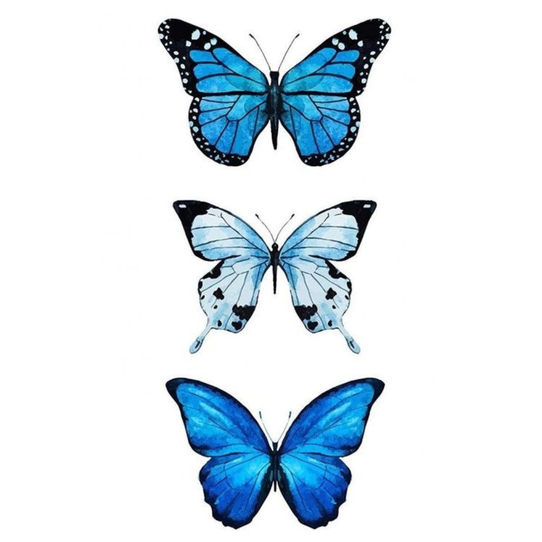 Paint by Numbers – Blue Butterflies