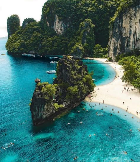 Paint by Numbers – Tropical Wonder