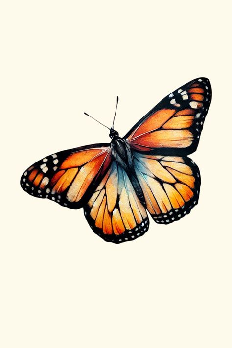 Paint by Numbers – Royal Butterfly