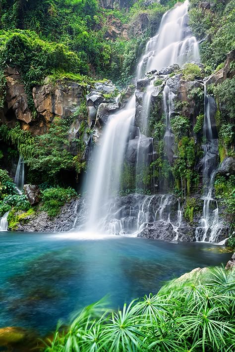 Paint by Numbers – Paradise Falls